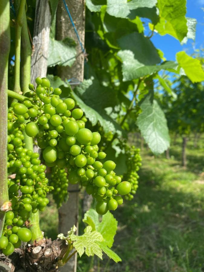 Landgasthof Ochsen Sinzheim Zewnętrze zdjęcie